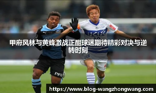 甲府风林与黄蜂激战正酣球迷期待精彩对决与逆转时刻
